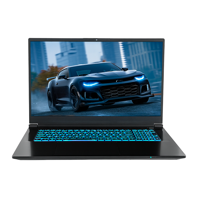 Laptop CLEVO PE60SNE-G, 16" QHD+ 240Hz, Intel Core i9-14900HX, 64GB RAM DDR5-5600, RTX 4070, 3TB SSD, WiFi 6E, Thunderbolt 4, Windows 11