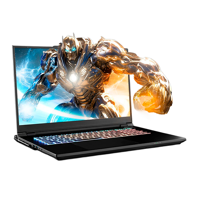 Laptop Clevo X370SNV1-G, 17.3" QHD 240Hz G-SYNC, Intel Core i9-14900HX, RTX 4080 12GB, 96GB RAM DDR5, SSD 4TB NVMe, Thunderbolt 4, Windows 11 Pro - YG02030100U11MD1Z0047