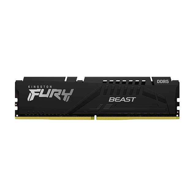 Memoria RAM Kingston Fury Beast 16 GB, DDR5, 5600 MT/s, EXPO, CL36, Disipador – KF556C36BBE-16