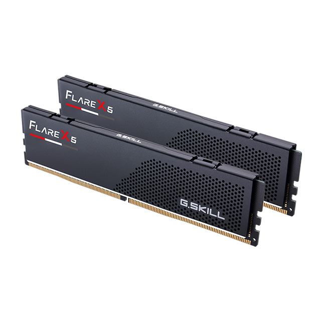 Memoria RAM G.Skill Flare X5 Negra 32GB 2x16GB DDR5 5600Mhz - F5-5600J3636C16GX2-FX5