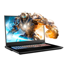 Laptop Clevo X370SNV1-G, 17.3" QHD 240Hz G-SYNC, Intel Core i9-14900HX, 96GB RAM DDR5, RTX 4080 12GB, SSD 4TB NVMe, WiFi 6E, Windows 11 Pro